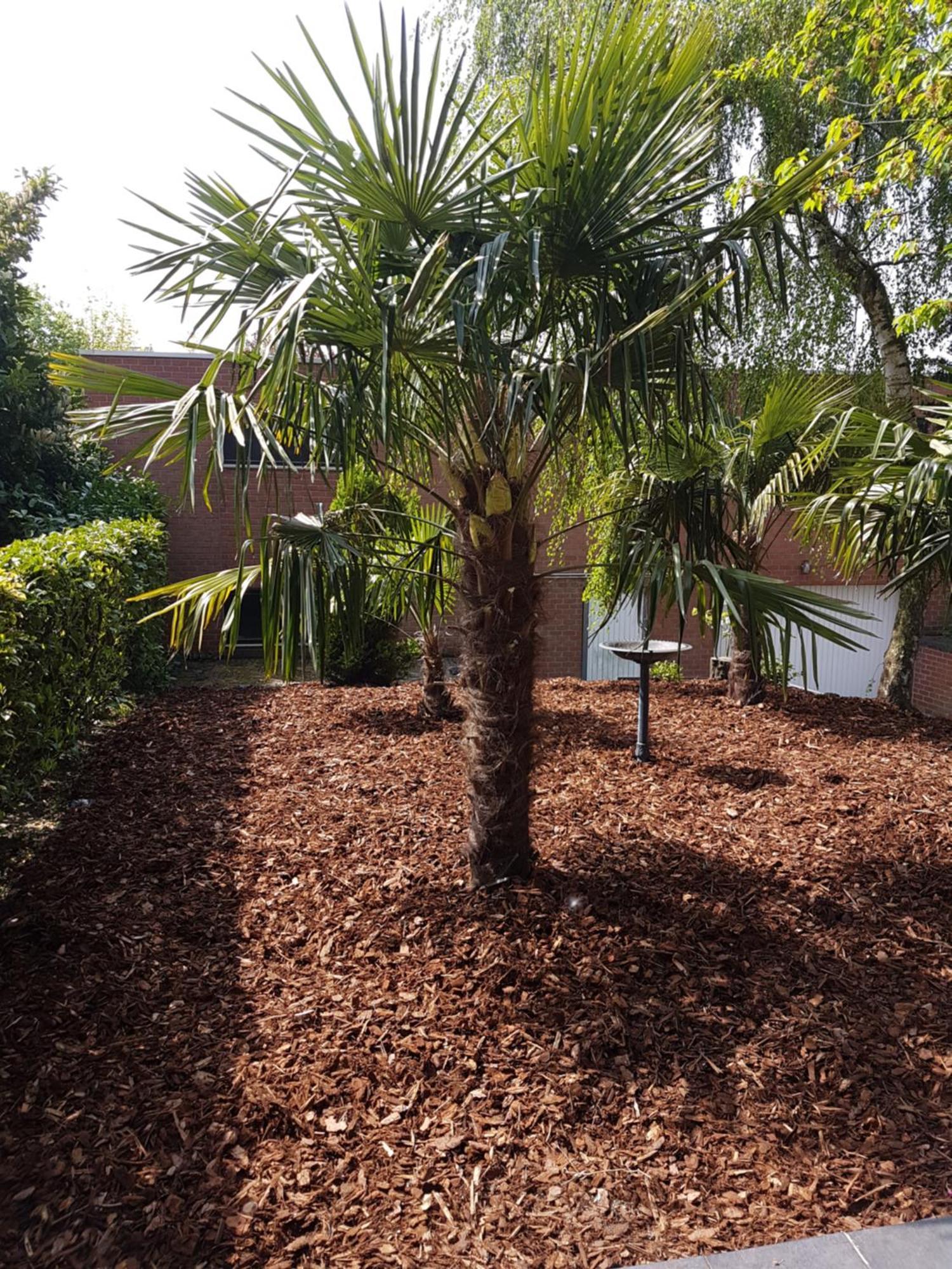 Homestay Gent-Merelbeke Self Check-In Service Melle المظهر الخارجي الصورة
